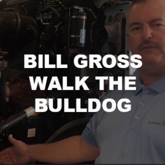 Bill Gross - Walk the Bulldog