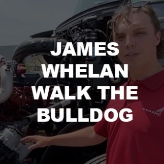 James Whelan - Walk the Bulldog